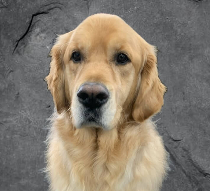 Chester Profile Picture