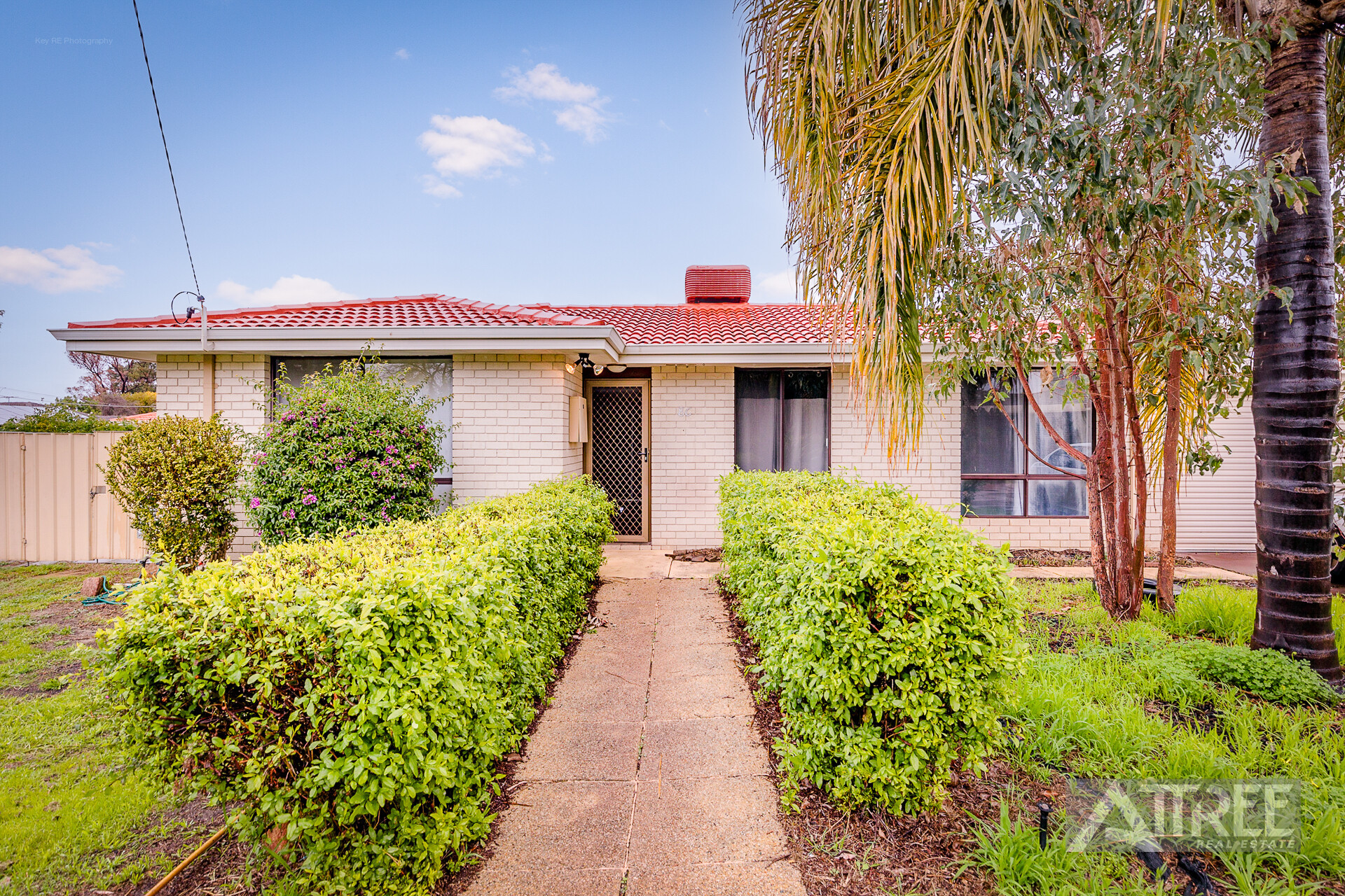 Listing image for 8c Sitka Place, Cannington  WA  6107