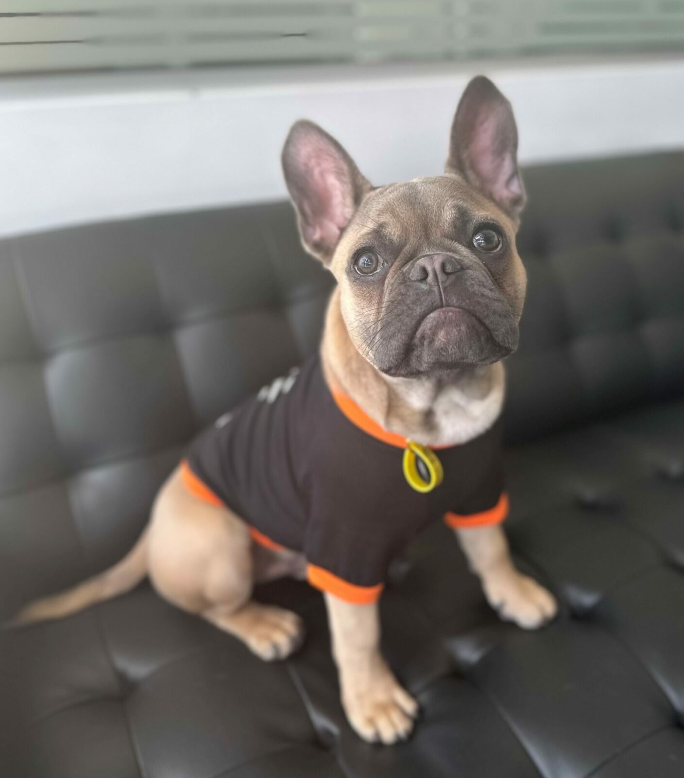 Hugo Profile Picture