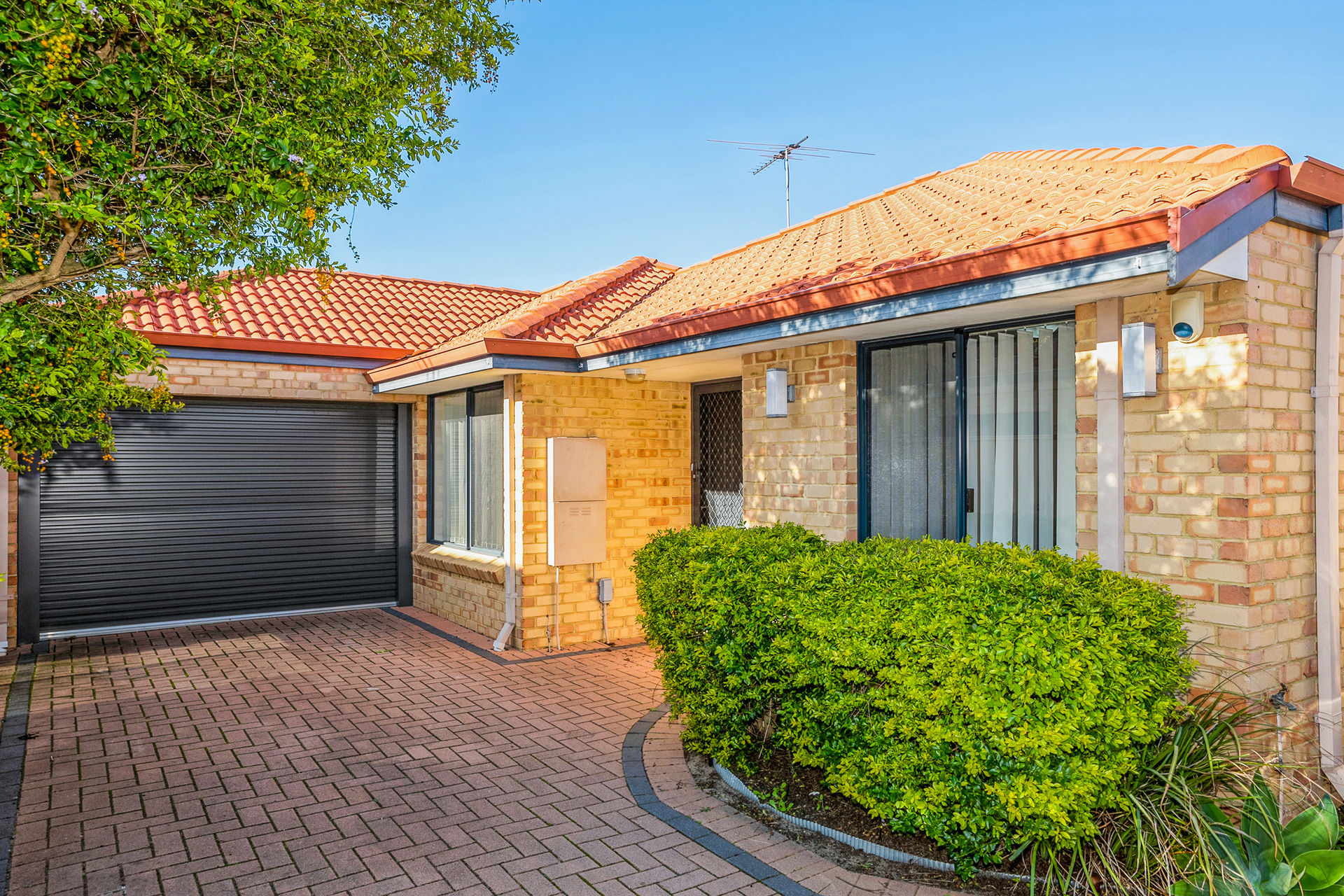 Listing image for 16B Boardman Road, Canning Vale  WA  6155