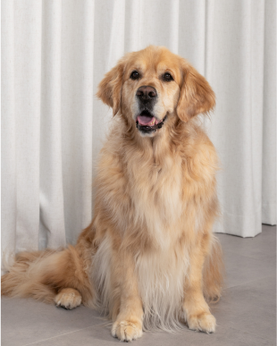 Headshot profile photo of Chester